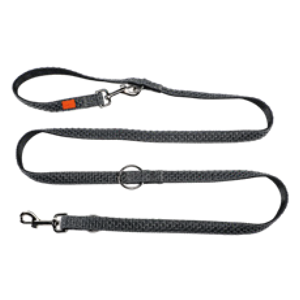 Multi-functional Leash for Dogs